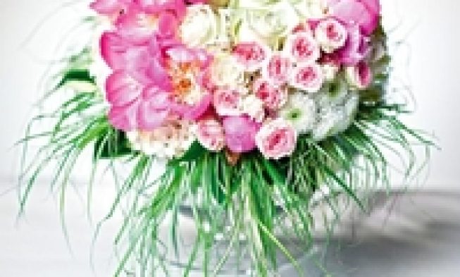 Эффект живой природы , Эффект живой природы